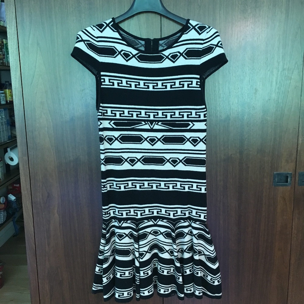 Alice + Olivia Fit and flare dress